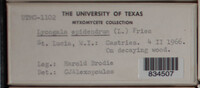 Image Associated With the Occurrence
